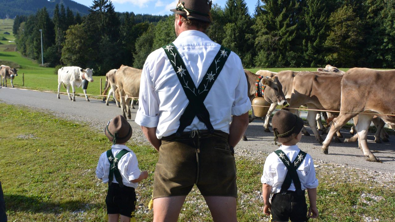 Viehscheid Viehscheid